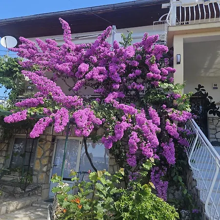 Appartement Svob Pool Novi Vinodolski